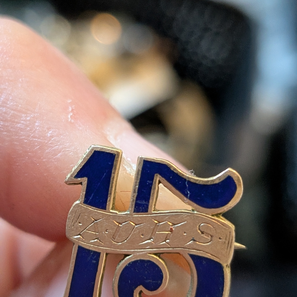 Vintage Blue and Gold‎ 15 Years Pin